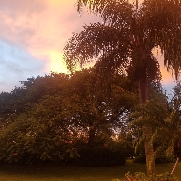 I have a variety of plus-size clothes and unique jewelry. Upcycle ❤️ - Picture 4 of 5